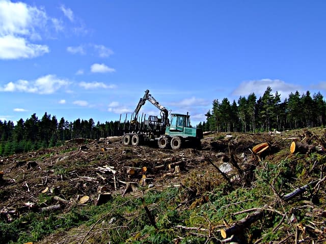 Forsttechnik im Einsatz